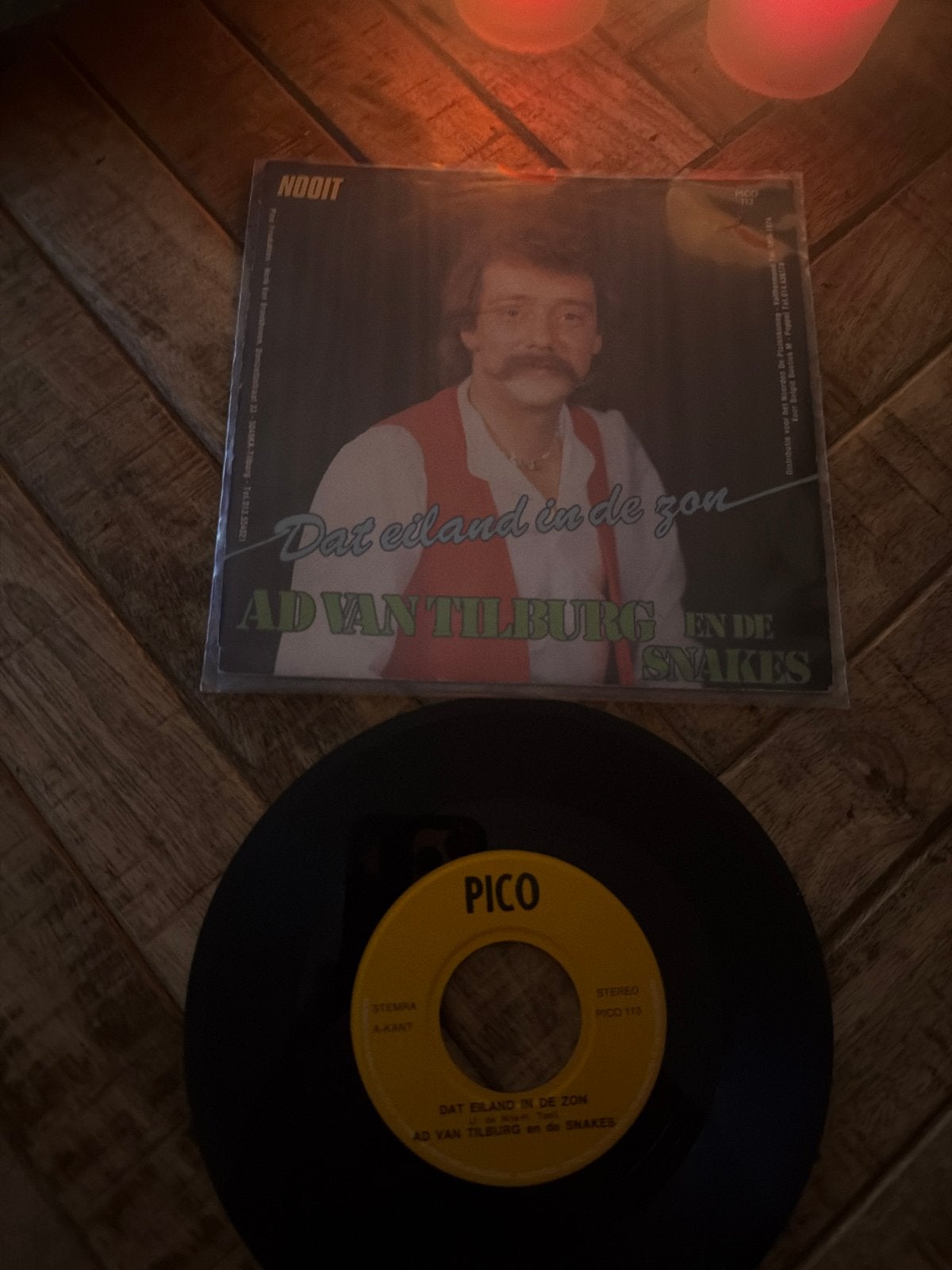 Ad van Tilburg en de Snakes - Dat eiland in de zon (Single), Ophalen, Gebruikt, 7 inch, EP