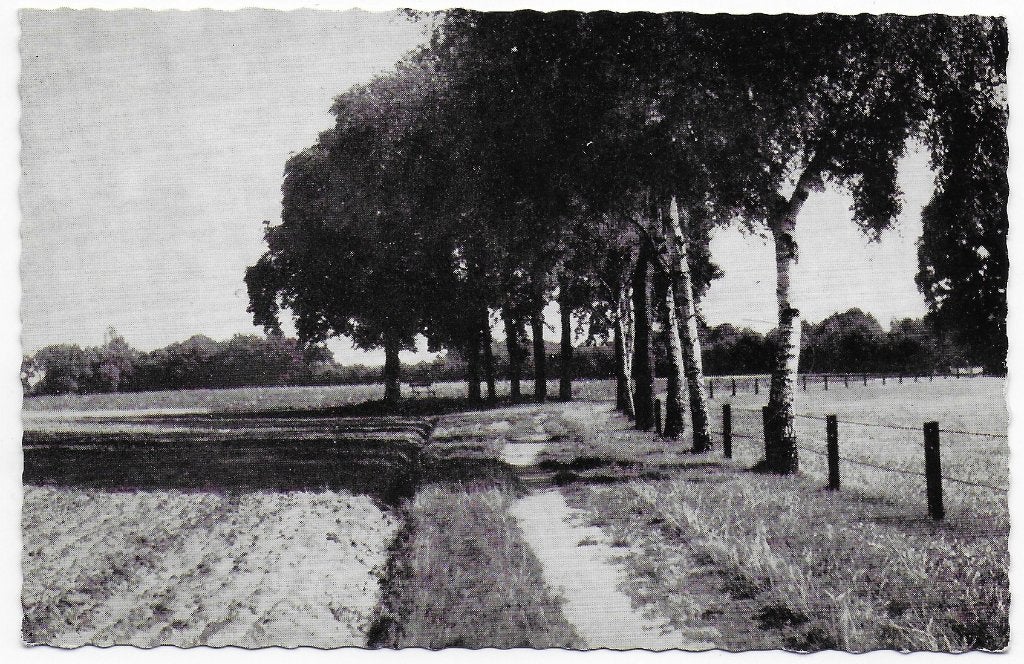 Omgevingen Aalten Ongelopen Ansichtkaart (B7597), Ophalen of Verzenden, 1960 tot 1980, Gelopen