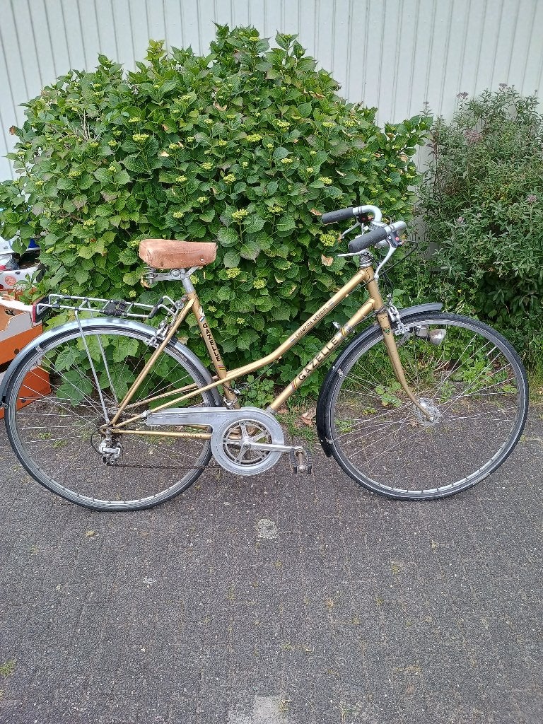 Gazelle Champion Mondial (mixte), Ophalen, Velgrem, Gazelle, Jaren '60 of nieuwer