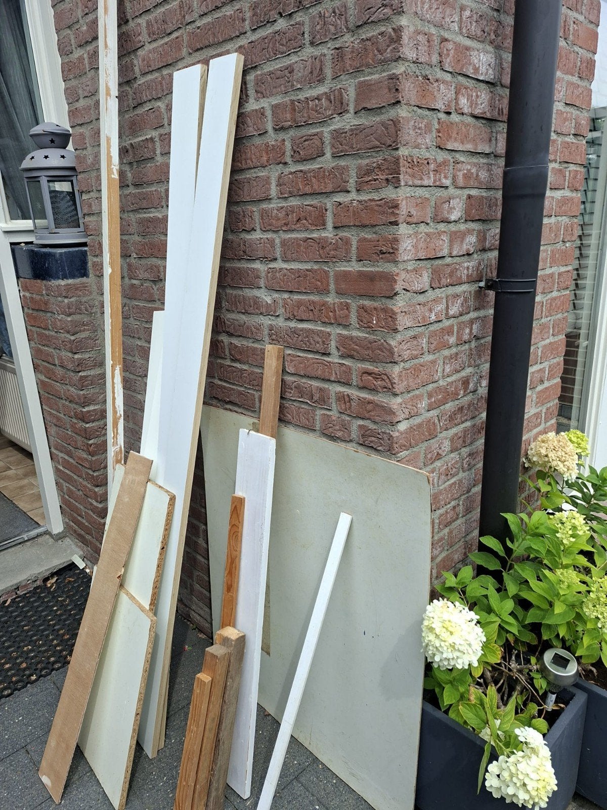 hout, Ophalen, Overige houtsoorten, Minder dan 200 cm, Plank