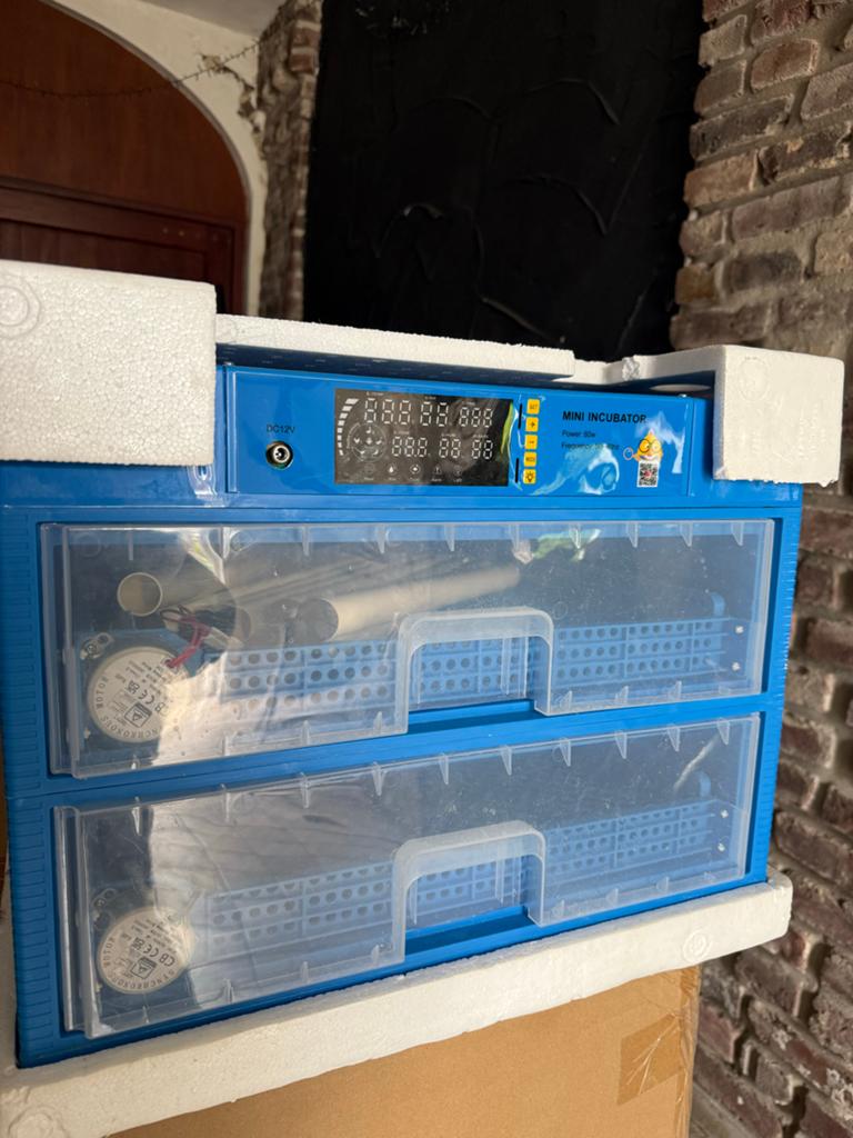 Grote broedmachine, Ophalen of Verzenden, Zo goed als nieuw, Broedmachine