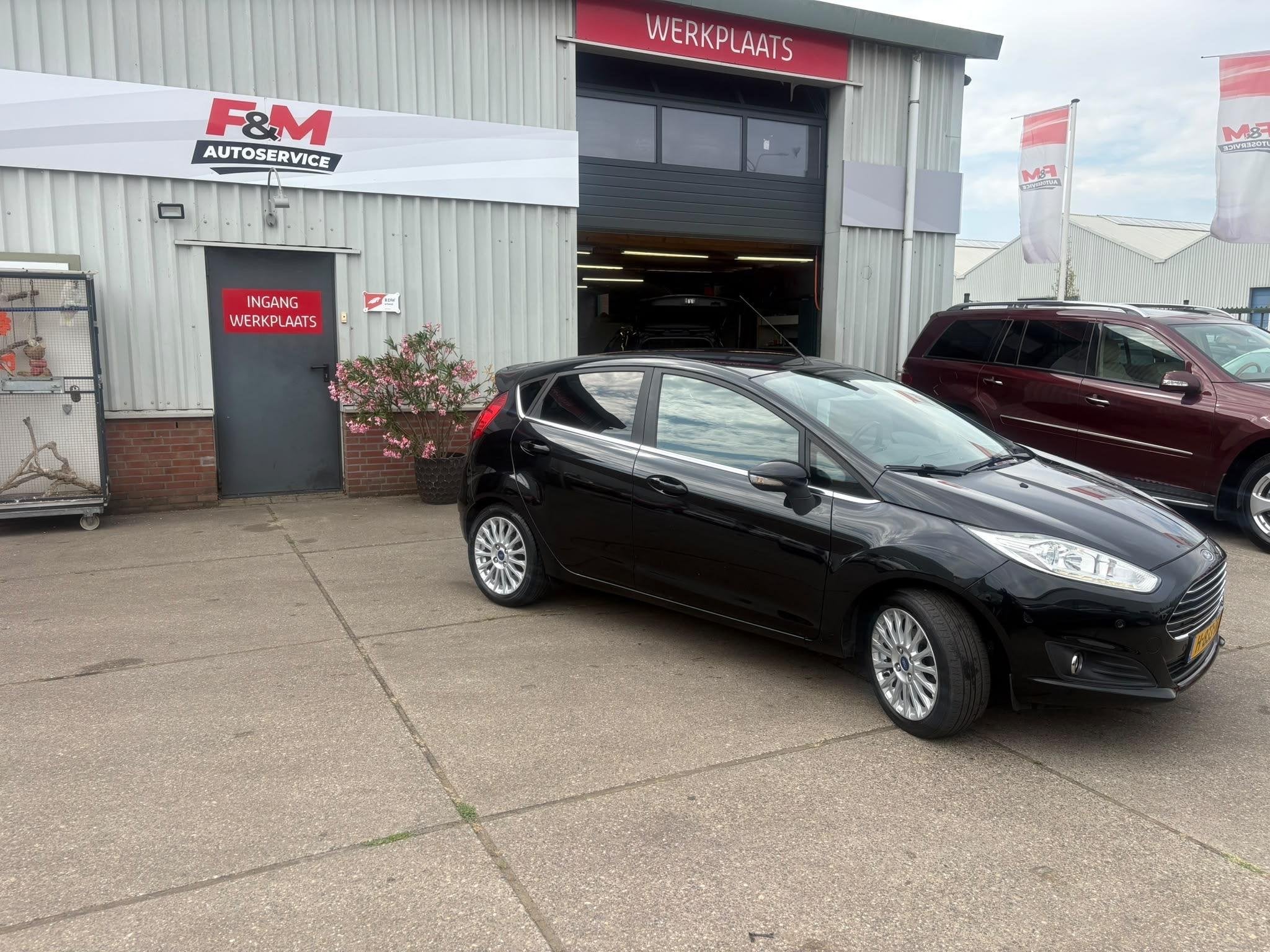 Ford Fiesta 1.0 EcoBoost Titanium Clima, stoelverwarming, PD, Voorwielaandrijving, Euro 6, Electronic Stability Program (ESP)