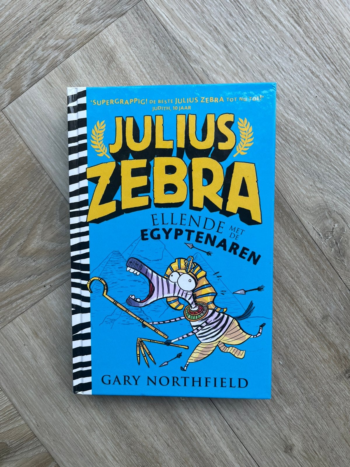 Julius Zebra, Boeken, Ophalen, Zo goed als nieuw, Verhalen