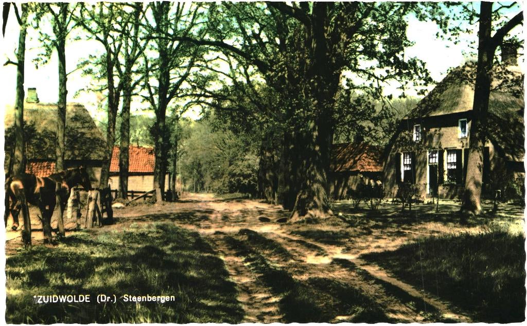 914416 Zuidwolde 1968 Drenthe Steenbergen Boerderij Gelopen, Verzamelen, Ansichtkaarten | Nederland, Ophalen of Verzenden, 1960 tot 1980