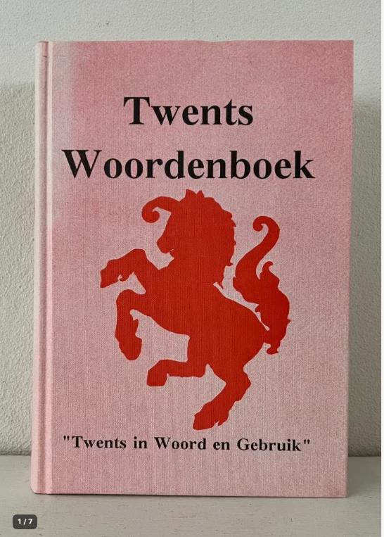 Twents woordenboek - G.J.H. Dijkhuis, Ophalen of Verzenden, Gelezen