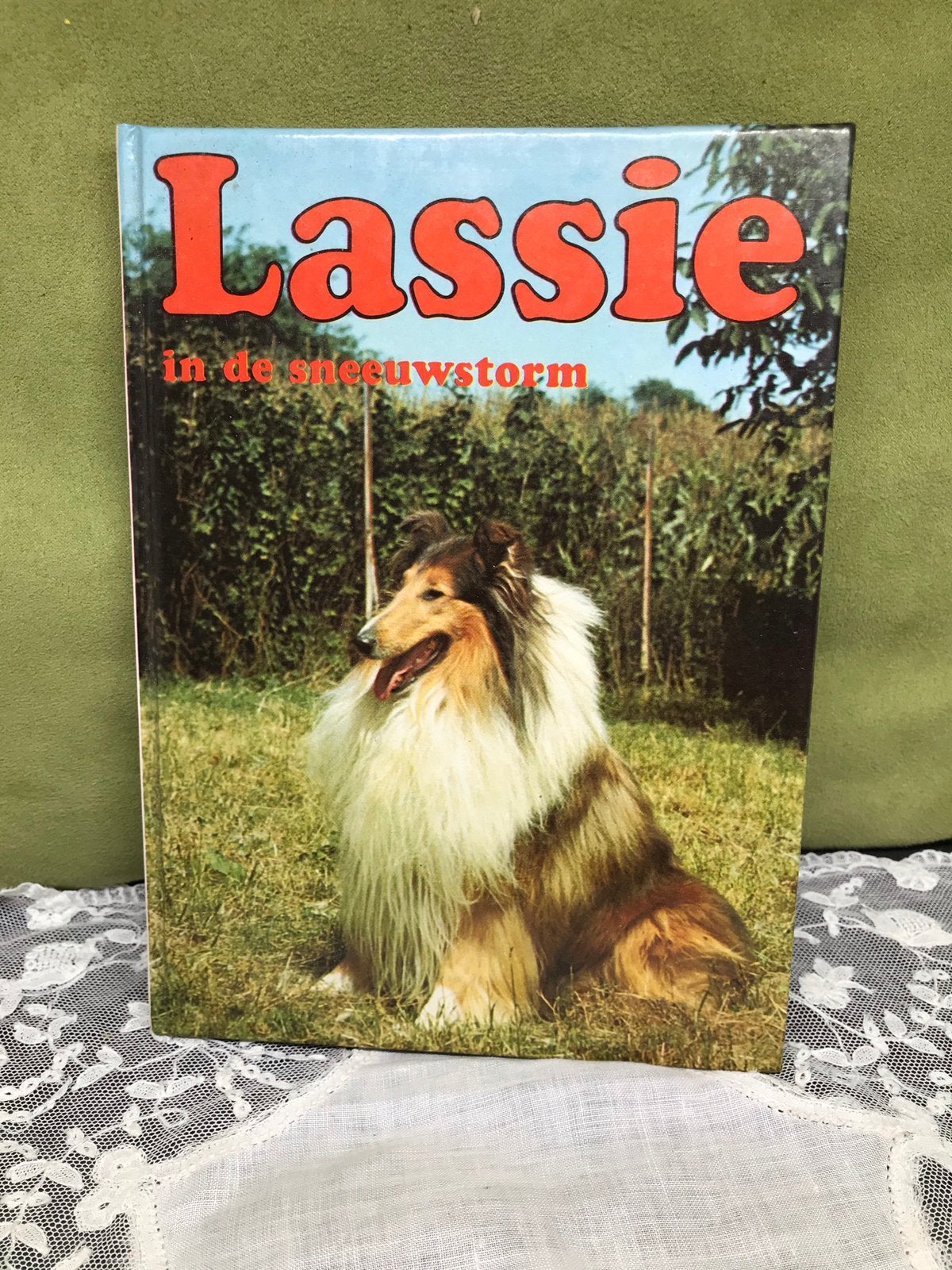Vintage kinderboekje Lassie (250121), Boeken, Ophalen of Verzenden, Gelezen, Non-fictie