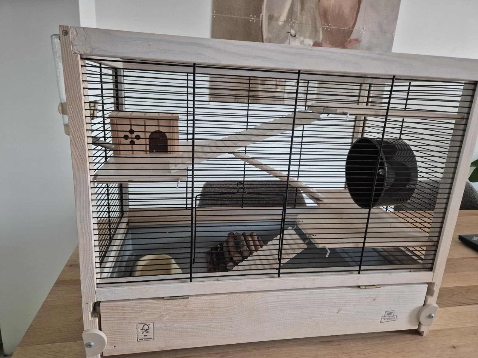 Nieuw Ferplast hamsterkooi hansterville 60x34x49, Dieren en Toebehoren, Minder dan 60 cm, Kooi, Ophalen of Verzenden, Minder dan 75 cm