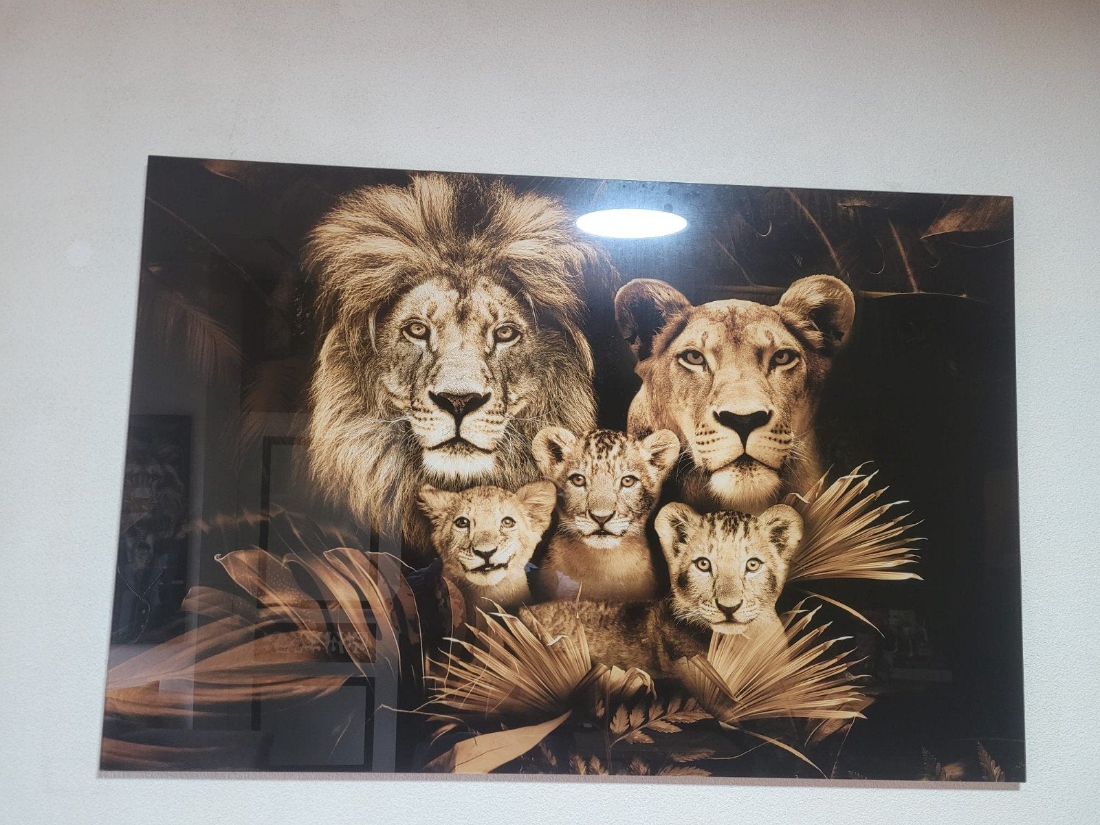 Glass schilderij leeuwen, Ophalen, Zo goed als nieuw, Schilderij, 100 tot 125 cm
