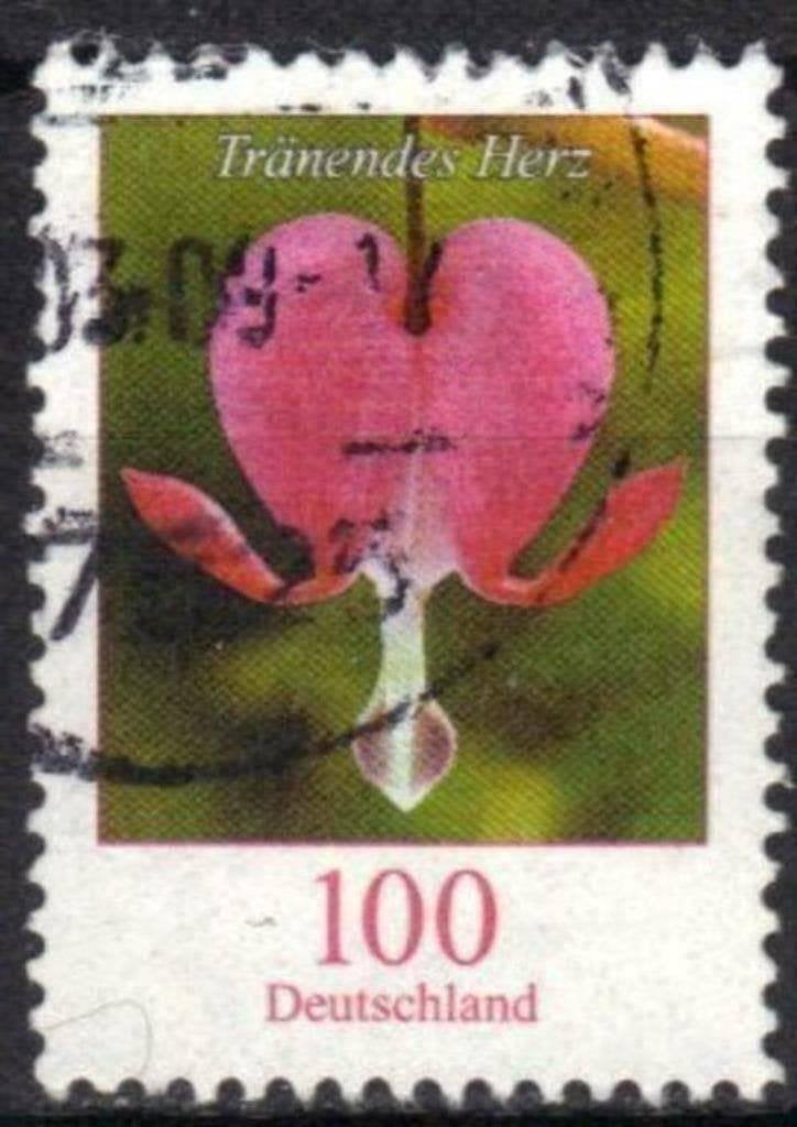 Duitsland 2006 - Yvert 2370 - Bloemen (ST), Verzenden, 1990 tot heden, Gestempeld
