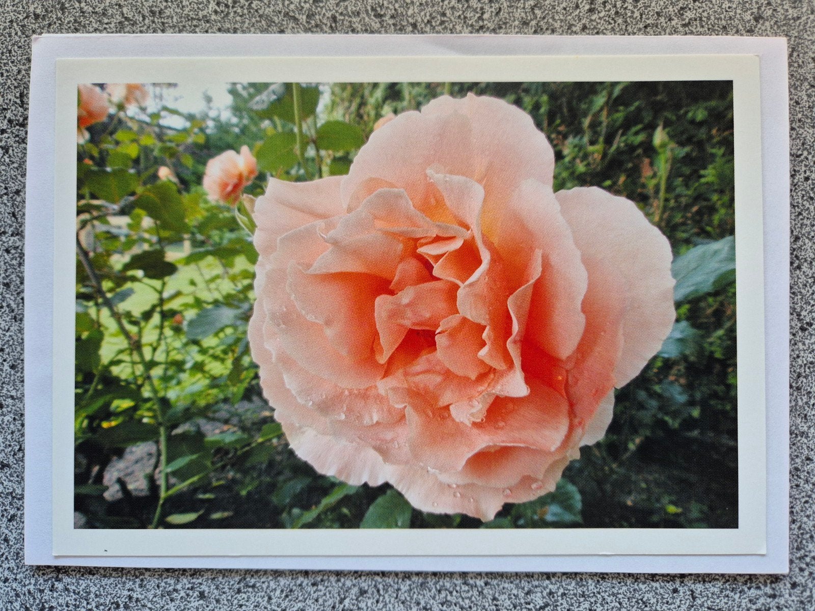 5x bloemen wenskaarten, Verzamelen, Ansichtkaarten | Themakaarten, Ophalen of Verzenden