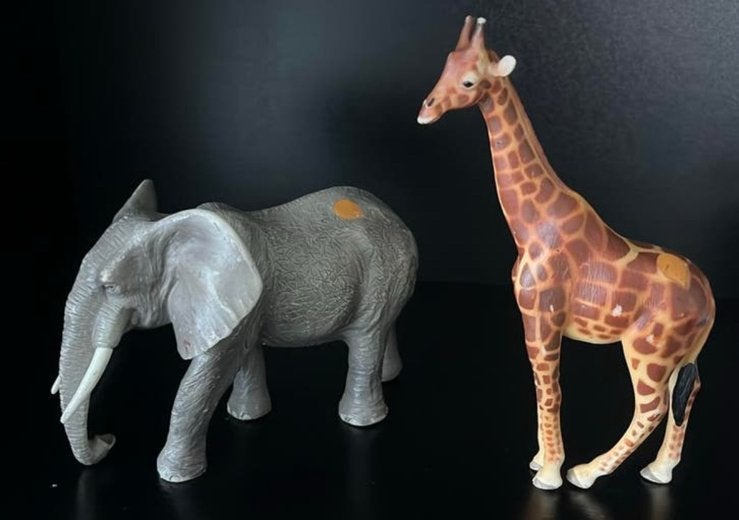 Wilde dieren van tip toi! Giraf en olifant, Ophalen of Verzenden