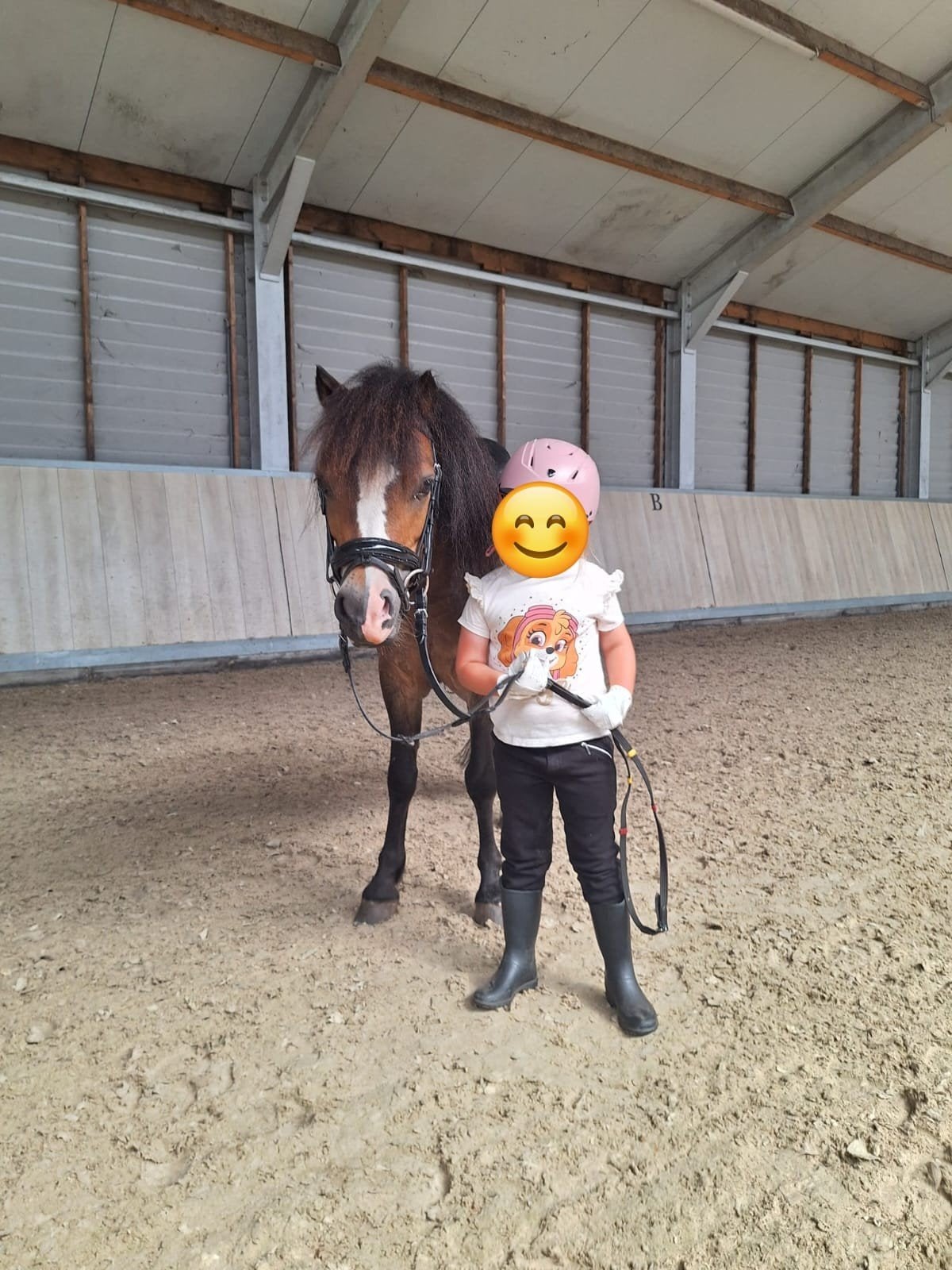 Halve lease voor de allerliefste pony Jaxx, Ruin, B pony (1.17m tot 1.27m), Met stamboom