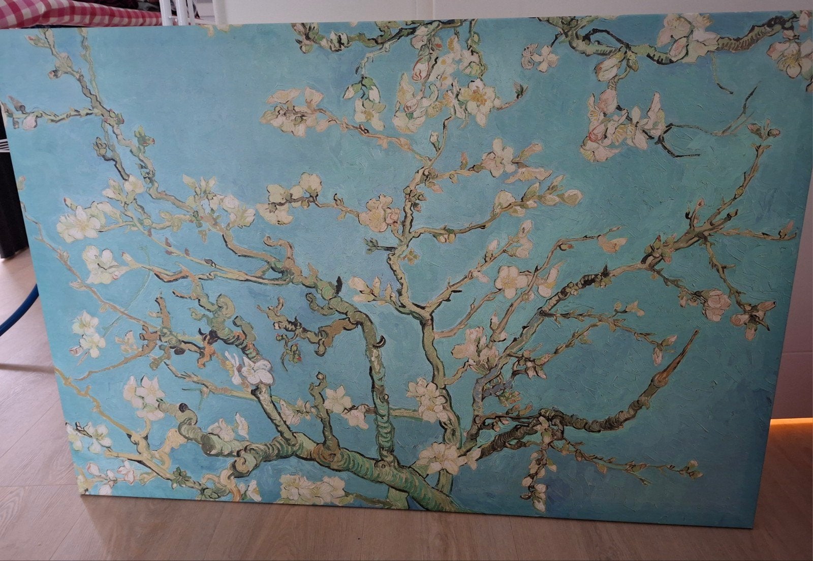 Van Gogh Amandelbloesem, Ophalen