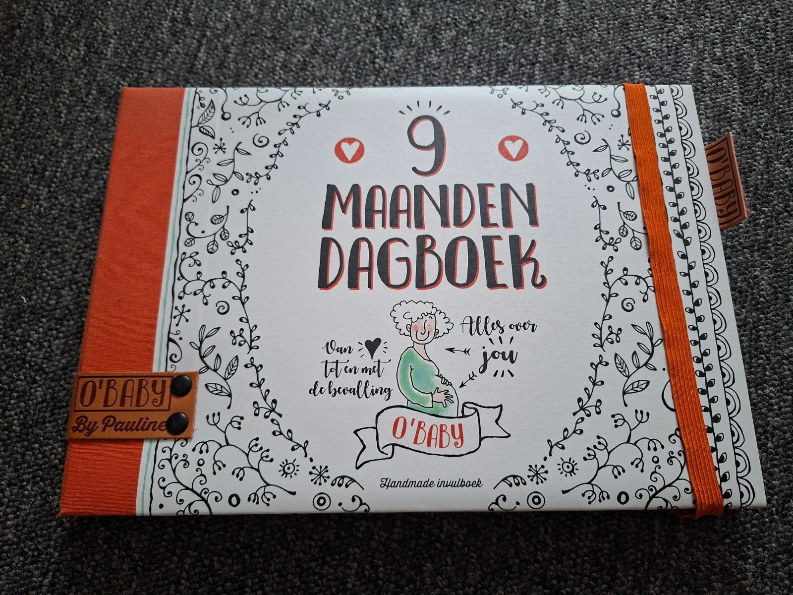 9 maanden dagboek o'baby By Pauline, Ophalen of Verzenden, Nieuw
