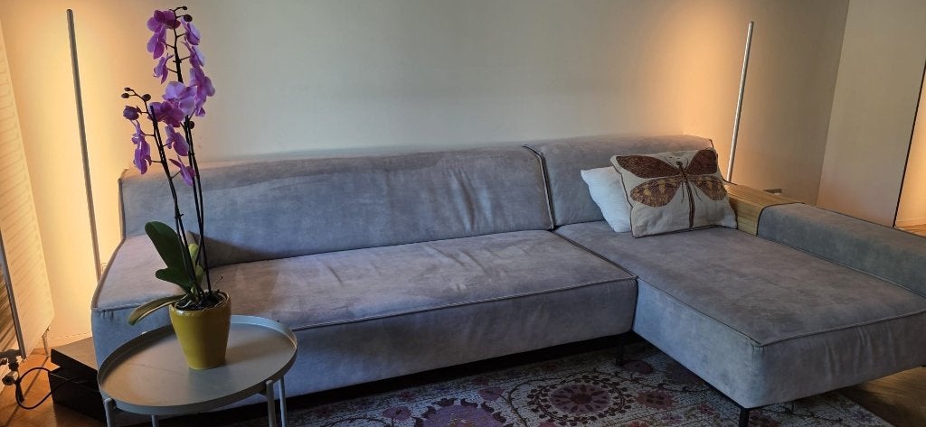 Grey corner sofa Like-New Sofa Moving Sale, Overige materialen, 250 tot 300 cm, 75 tot 100 cm, Ophalen of Verzenden