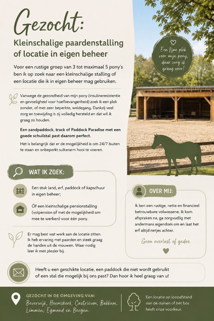 Gezocht: Kleinschalige paardenplek of eigen beheer, Weidegang