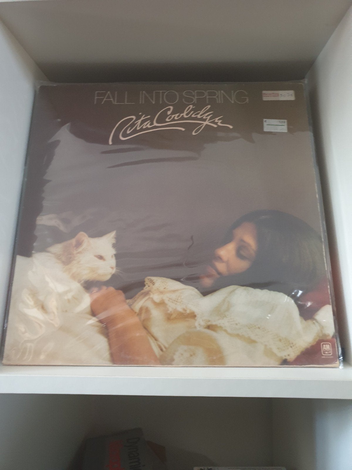 rita cooliday lp fall into spring, Ophalen of Verzenden, LP