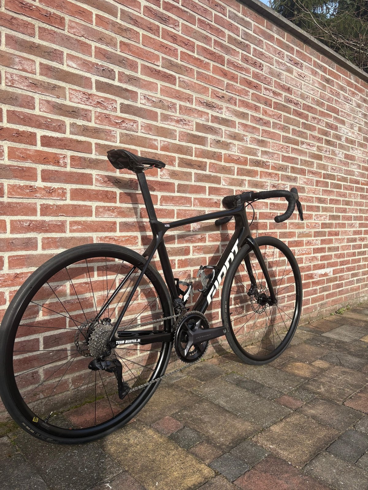 Giant TCR maat M/L, Ophalen, 28 inch, Carbon, Giant
