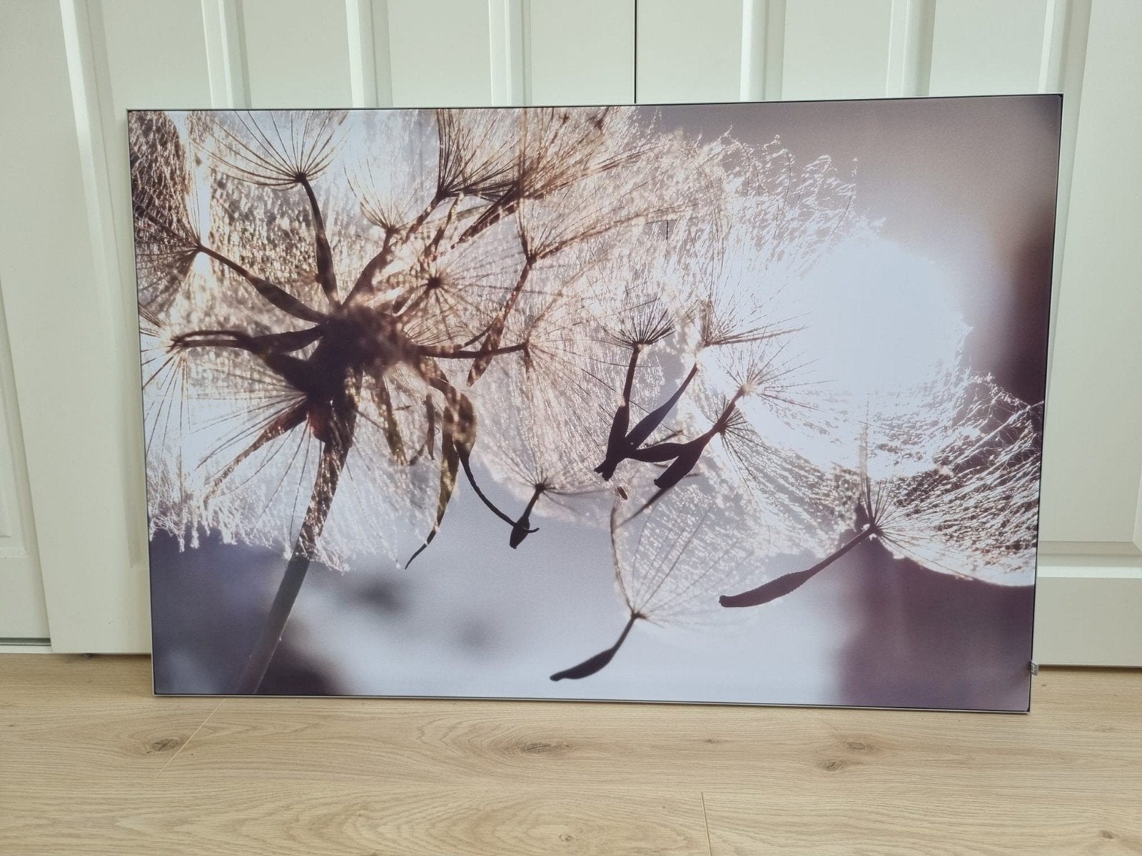 Grote Canvas Print Paardenbloem 105x70 cm (werk aan de muur), Ophalen, 100 tot 125 cm, 75 – 100, Print