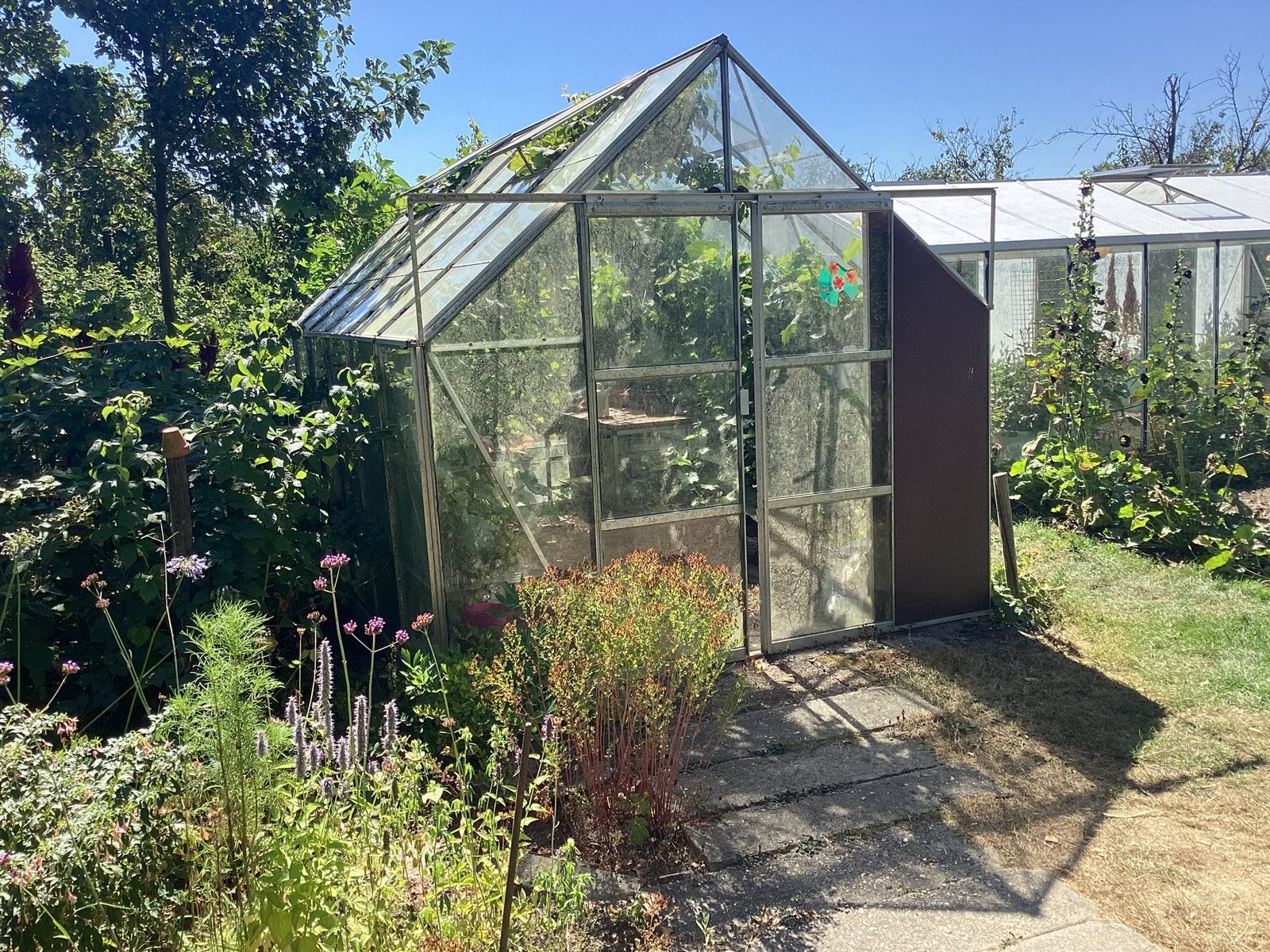Tuinkas, gratis af te halen, Tuin en Terras, Kassen, Ophalen, Gebruikt, Kweekkas, Glas