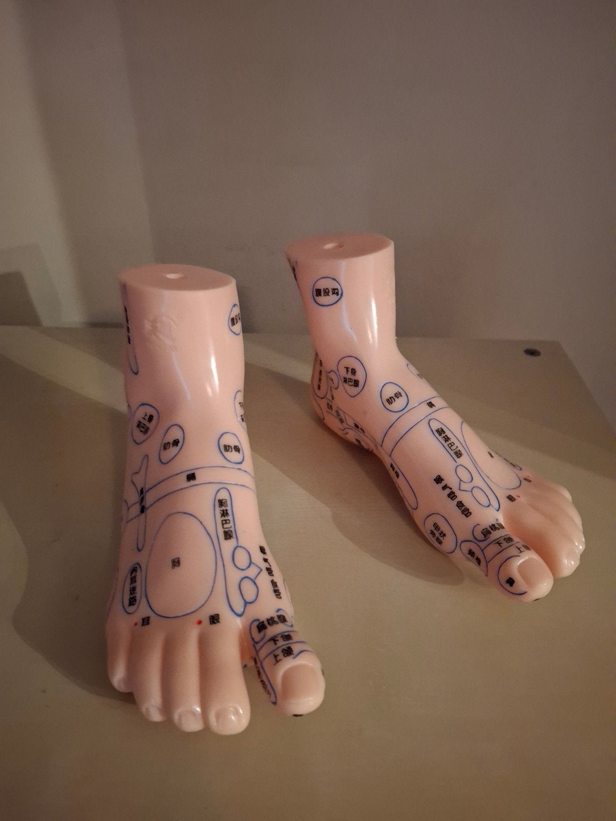 voeten model, voetreflexologie, Ophalen of Verzenden