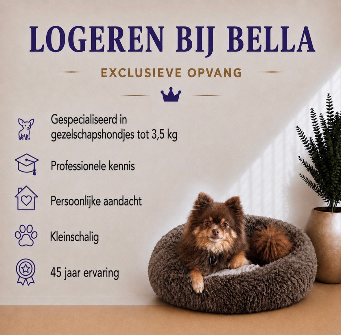 Vakantieoppas kleine hondjes (max 3,5 kg)/ gedragstherapeut, Dieren en Toebehoren, Overige rassen, 8 tot 15 weken, Geslacht onbekend