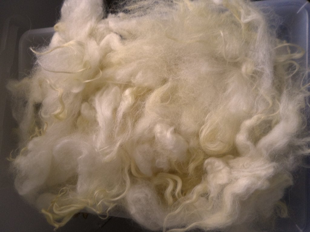 Mergellander gewassen Vachtwol -  kransen en vilten 250gr, Ophalen of Verzenden, Gebruikt, Spinwol