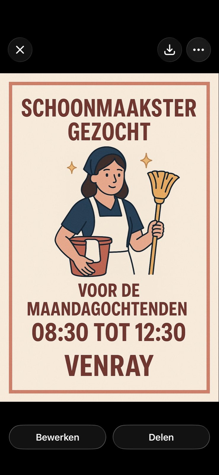 Schoonmaak in Venray, Overige niveaus, Overige vormen