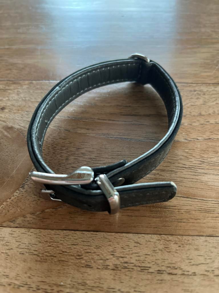 Honden halsband 30 cm, Dieren en Toebehoren, Ophalen