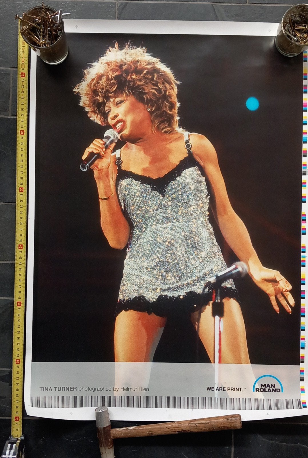 Nieuwe poster Tina Turner 70 x 50 / B2 formaat., Ophalen of Verzenden, Nieuw, Rechthoekig Staand, Muziek