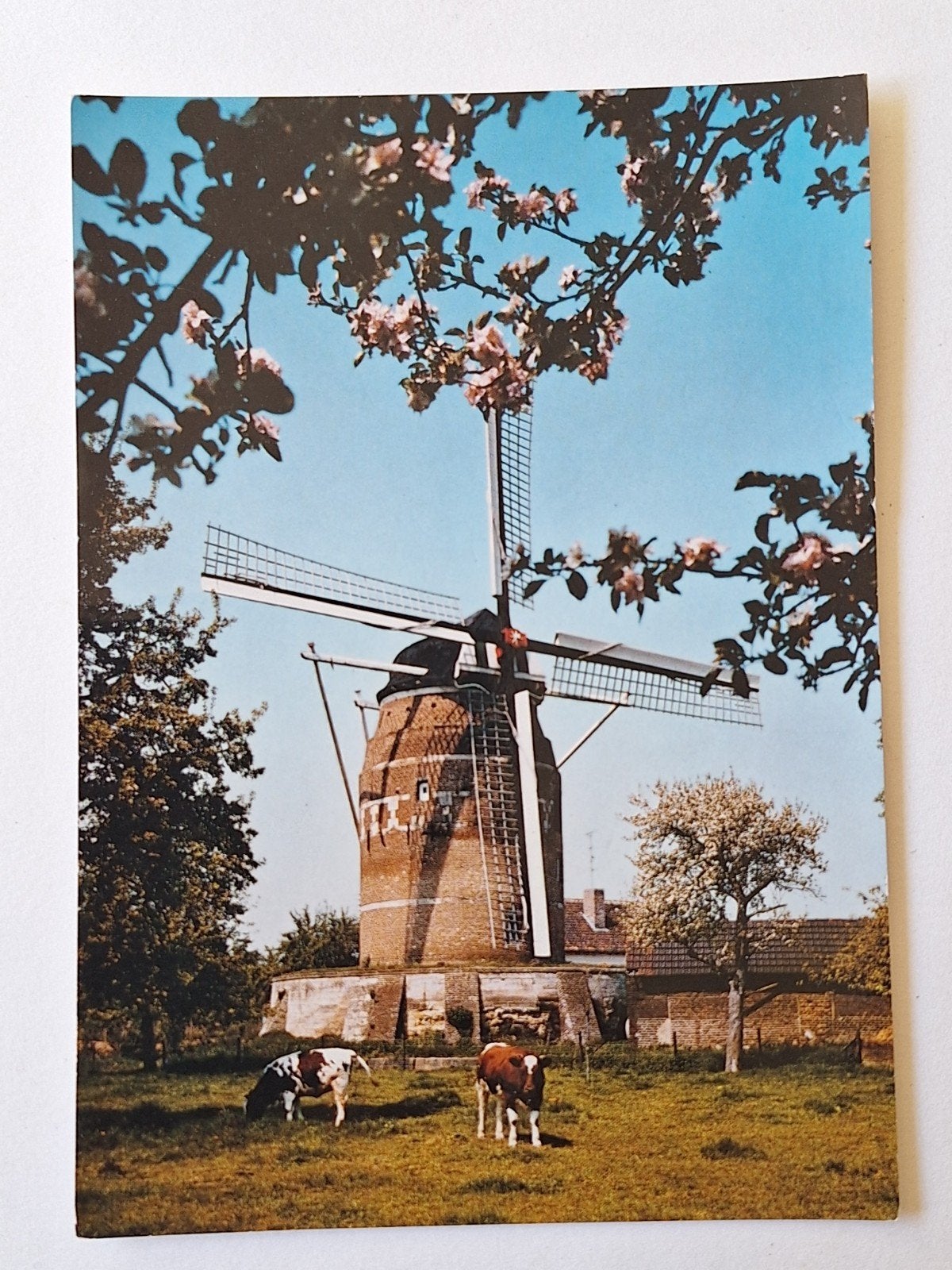 Gronsveld, Ophalen of Verzenden