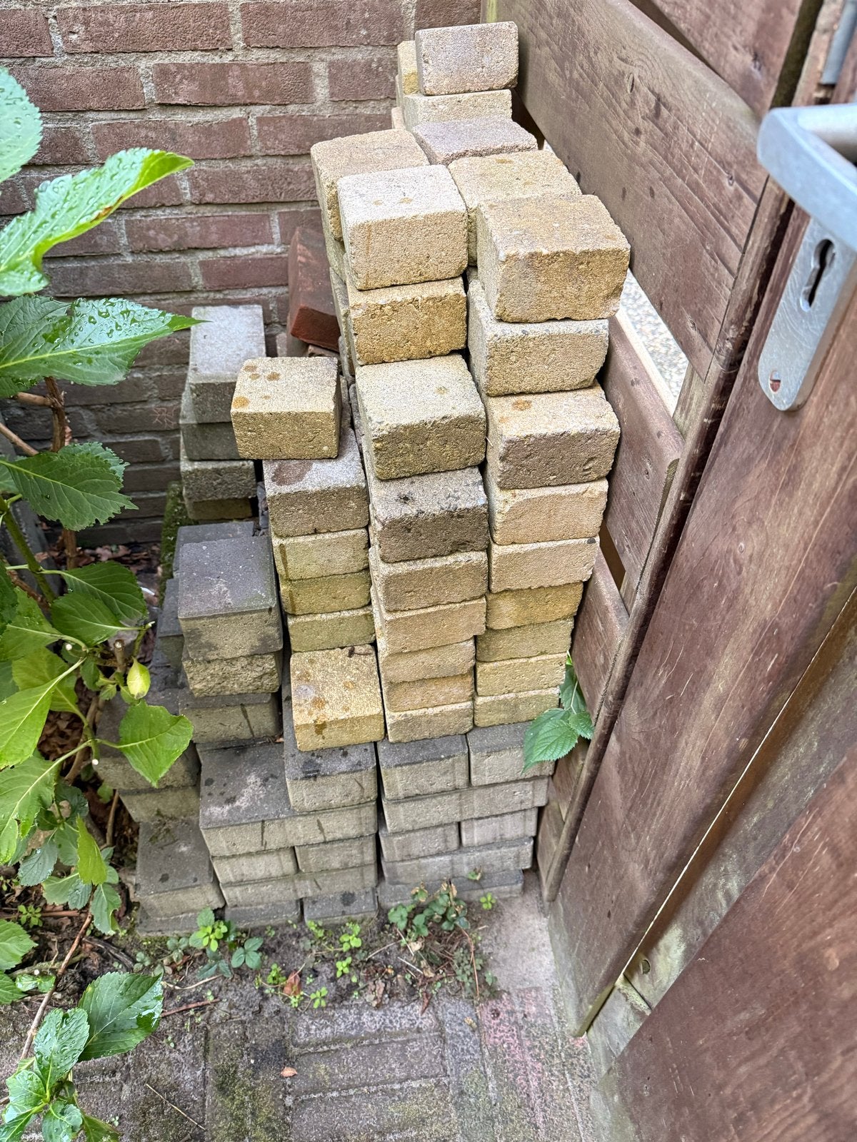 Gratis vierkante klinkers (ca. 3 m²) - Ophalen voor zaterdag, Ophalen, Gebruikt, Klinkers, Minder dan 5 m²
