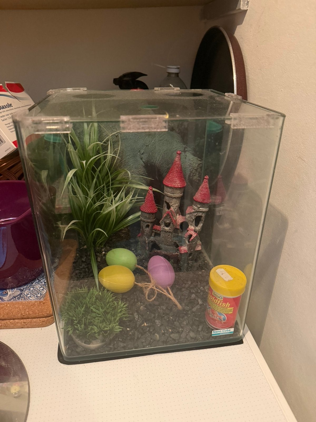 Klein aquarium met toebehoren, Ophalen, Inclusief deksel, Gebruikt, Leeg aquarium