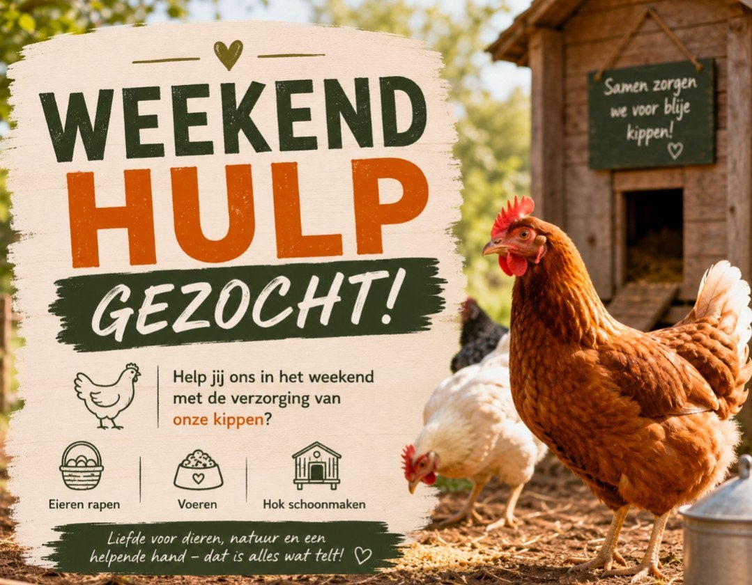 Weekend hulp gezocht, Vacatures, Vacatures | Vakantiewerk