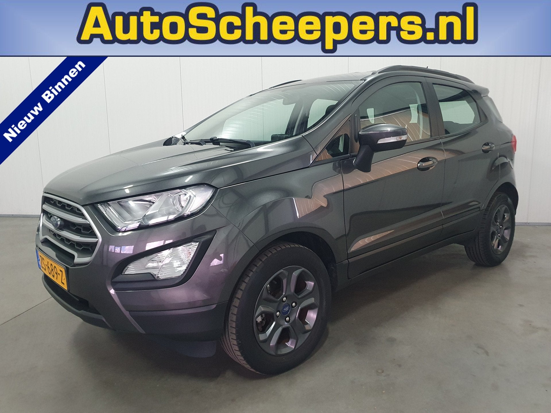 Ford EcoSport 1.0 EcoBoost Trend Ultimate NAVI/PDC/CRUISE/AI, Auto's, Voorwielaandrijving, Stof, Gebruikt, Euro 6