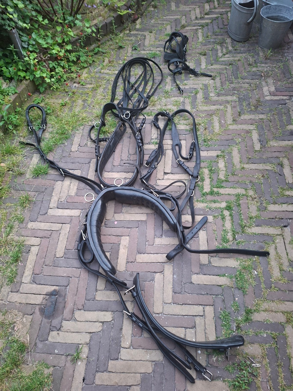 Paarden tuig maat full, Ophalen, Overige soorten