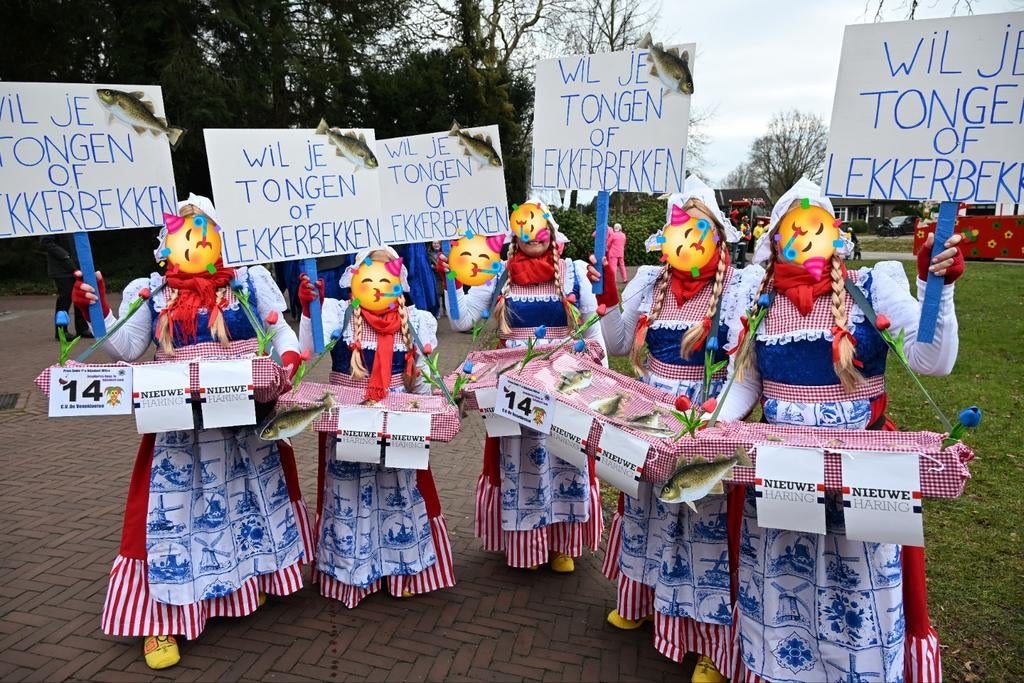 Loopgroep Zomerfeest of  Carnaval, Kleding | Dames, Ophalen, Zo goed als nieuw, Maat 46/48 (XL) of groter, Carnaval