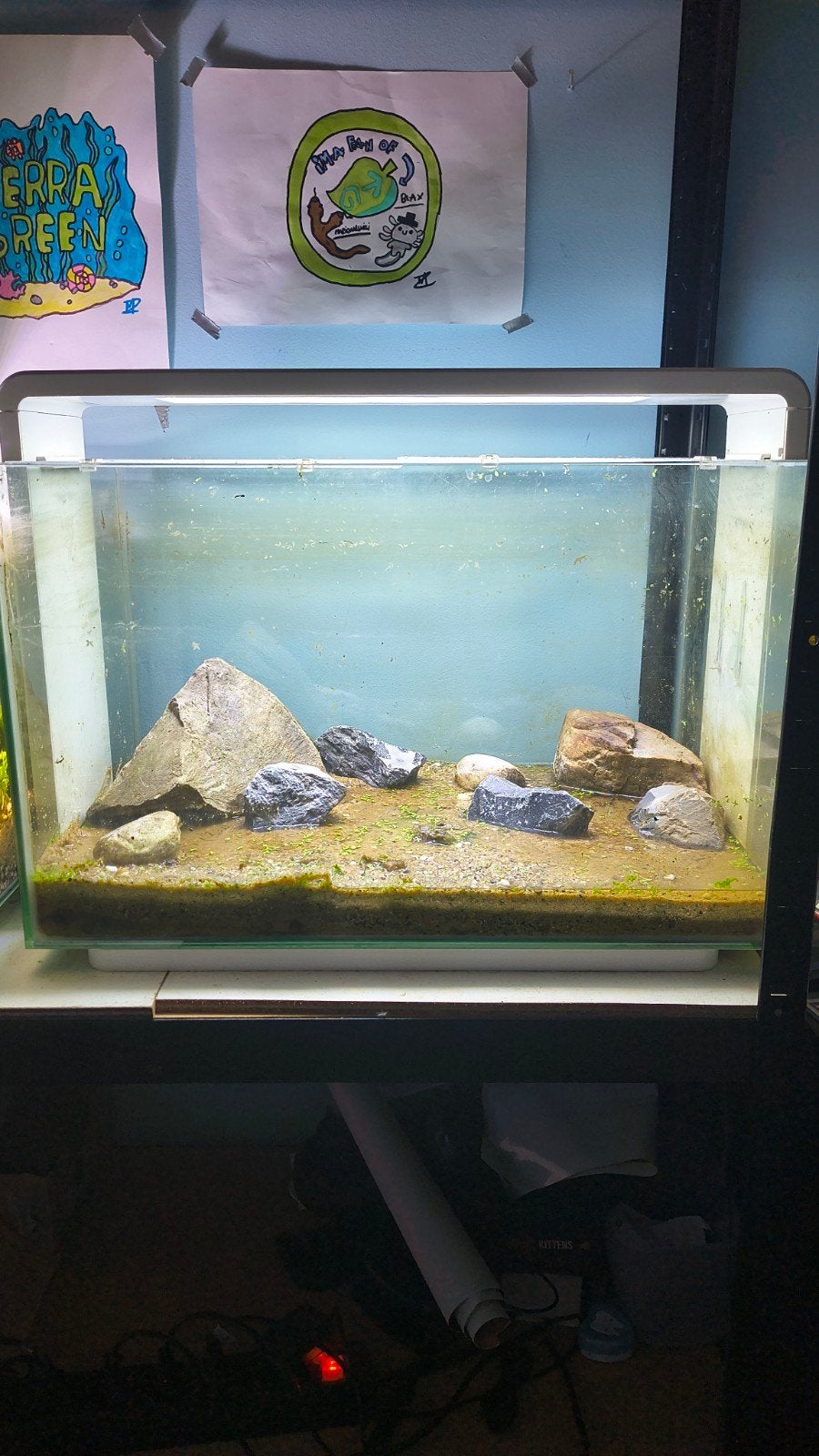 superfish home 60, Ophalen, Zo goed als nieuw, Leeg aquarium, Superfish