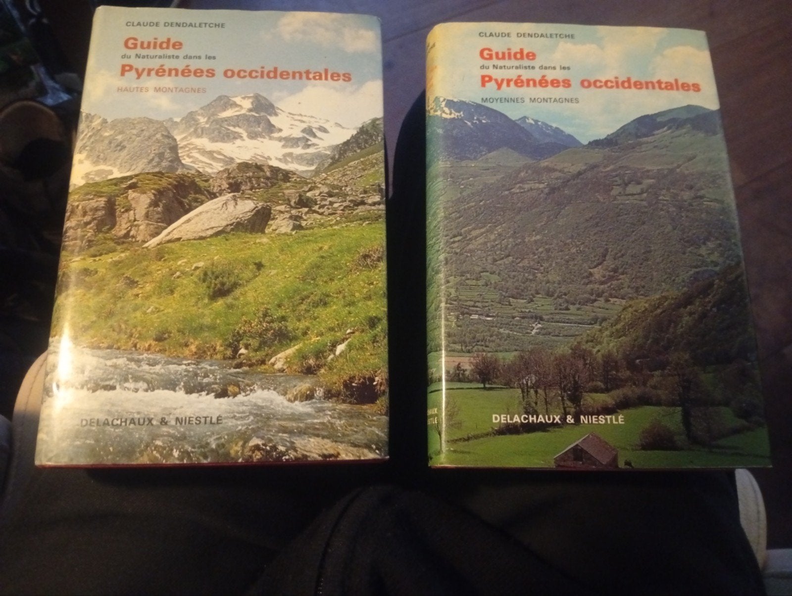 Gids Pyreneeën Occidentales - Claude Dendaletche, Ophalen of Verzenden, Zo goed als nieuw, Claude Dendaletche