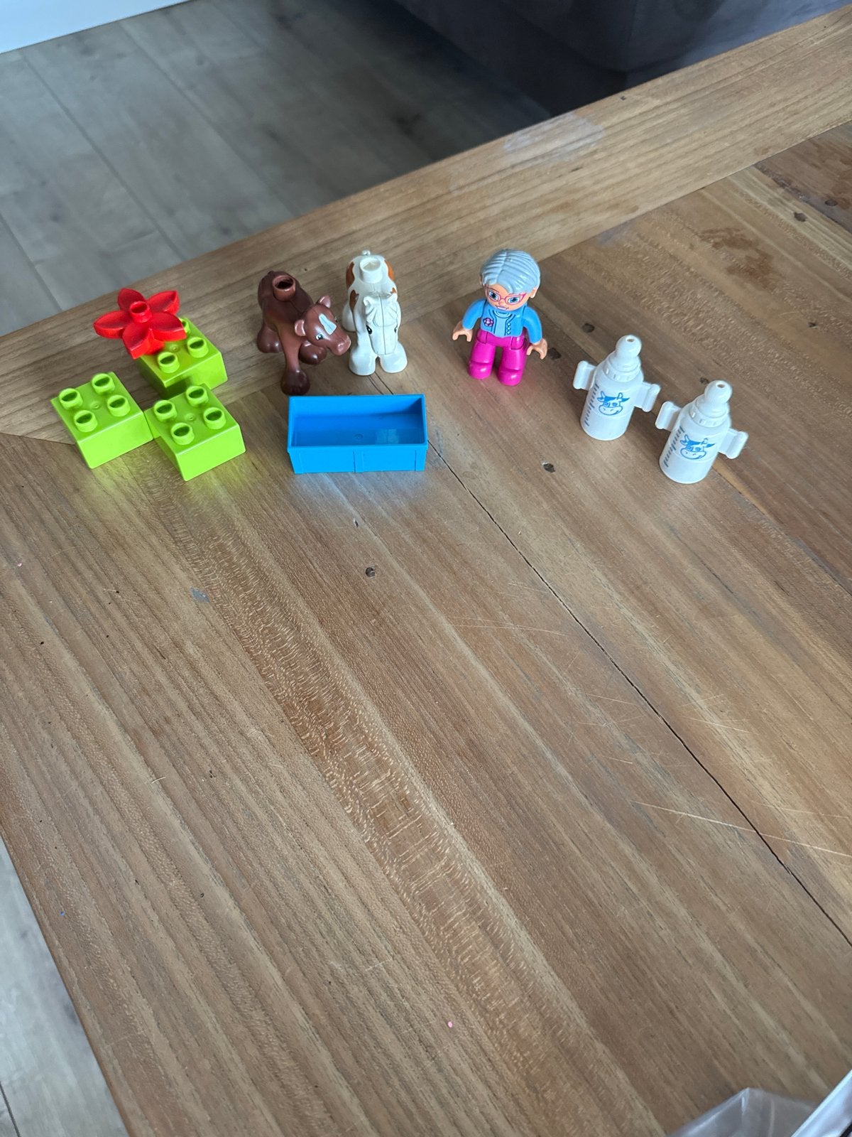 Duplo set met figuur, dieren en accessoires, Gebruikt, Ophalen of Verzenden, Duplo, Inclusief accessoires