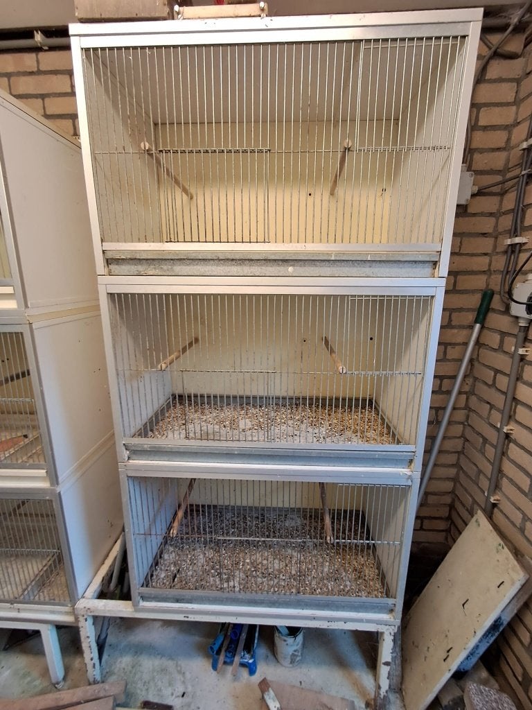 Parkieten hokken van keulen kooien, Dieren en Toebehoren, Ophalen, Hout, Vogelkooi
