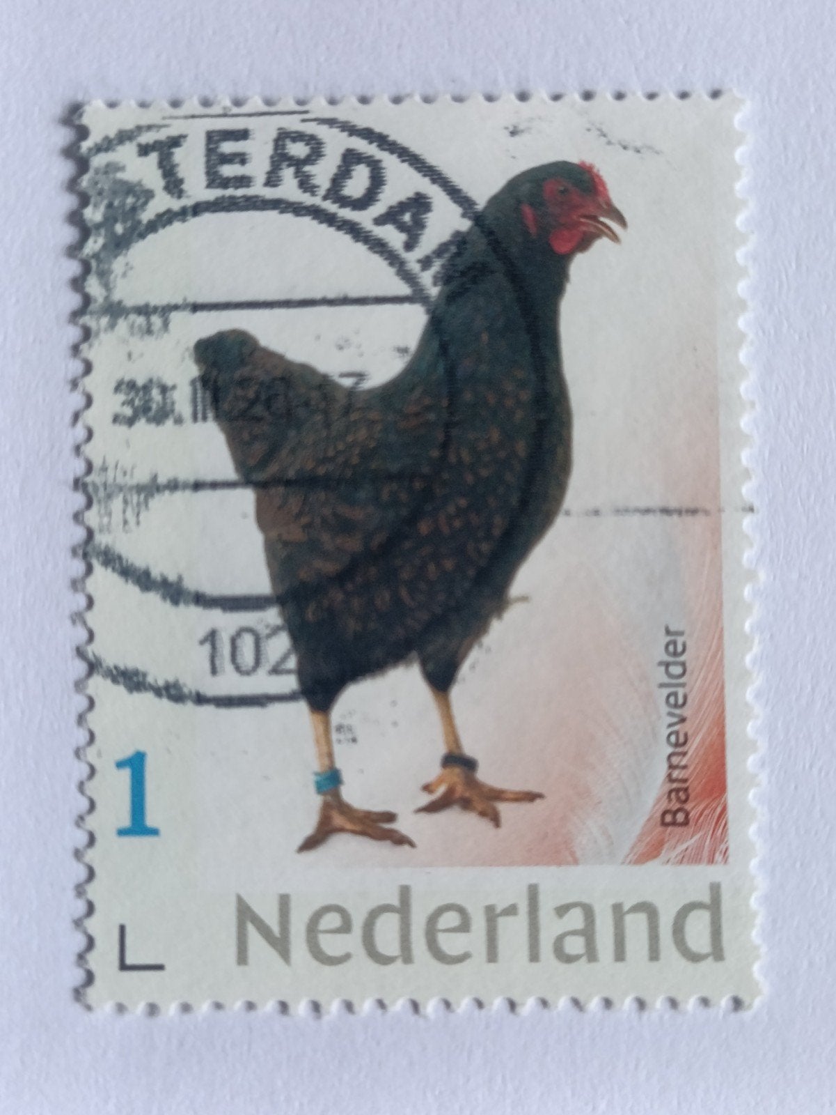 Persoonlijke postzegel Barnevelder kip - Gestempeld, Ophalen of Verzenden, Na 1940, Gestempeld