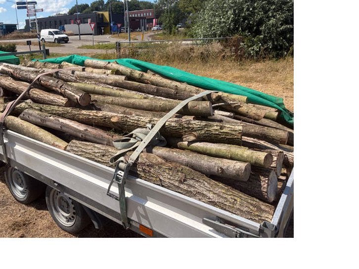 Diverse houtstammen voor brandhout, Tuin en Terras, Haardhout, 3 tot 6 m³, Ophalen of Verzenden, Overige houtsoorten, Stammen