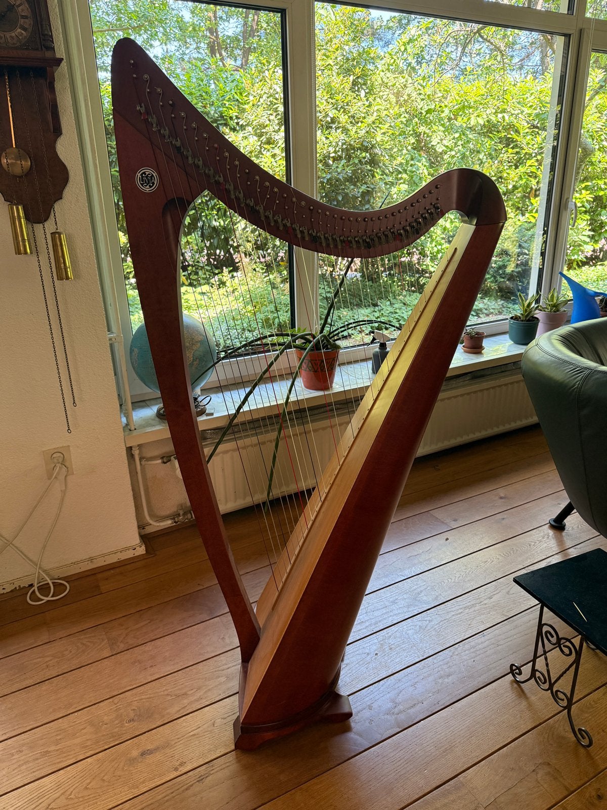 Prachtige Salvi Livia Hakenharp(36 snaren)In perfecte staat!, Ophalen, Zo goed als nieuw