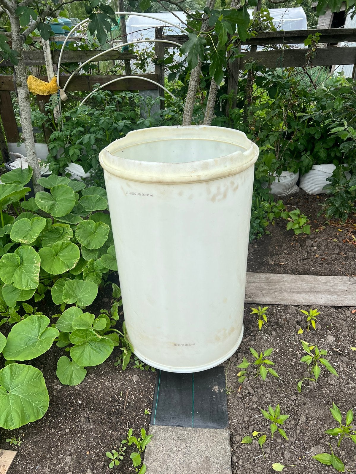 Regenton 200L, Tuin en Terras, Regentonnen, 150 liter of meer, Ophalen, Zo goed als nieuw