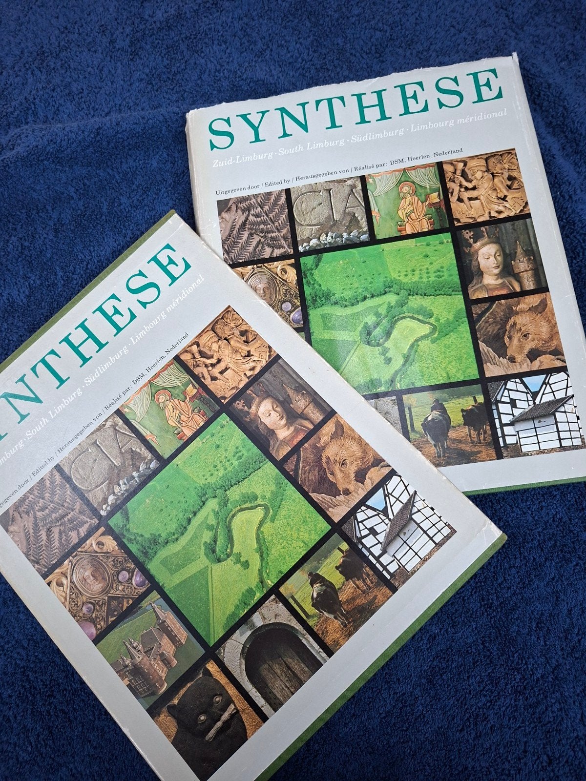 Synthese: Twaalf facetten van cultuur en natuur Zuid-Limburg, Ophalen of Verzenden, Zo goed als nieuw, DSM (uitgever), Nederland