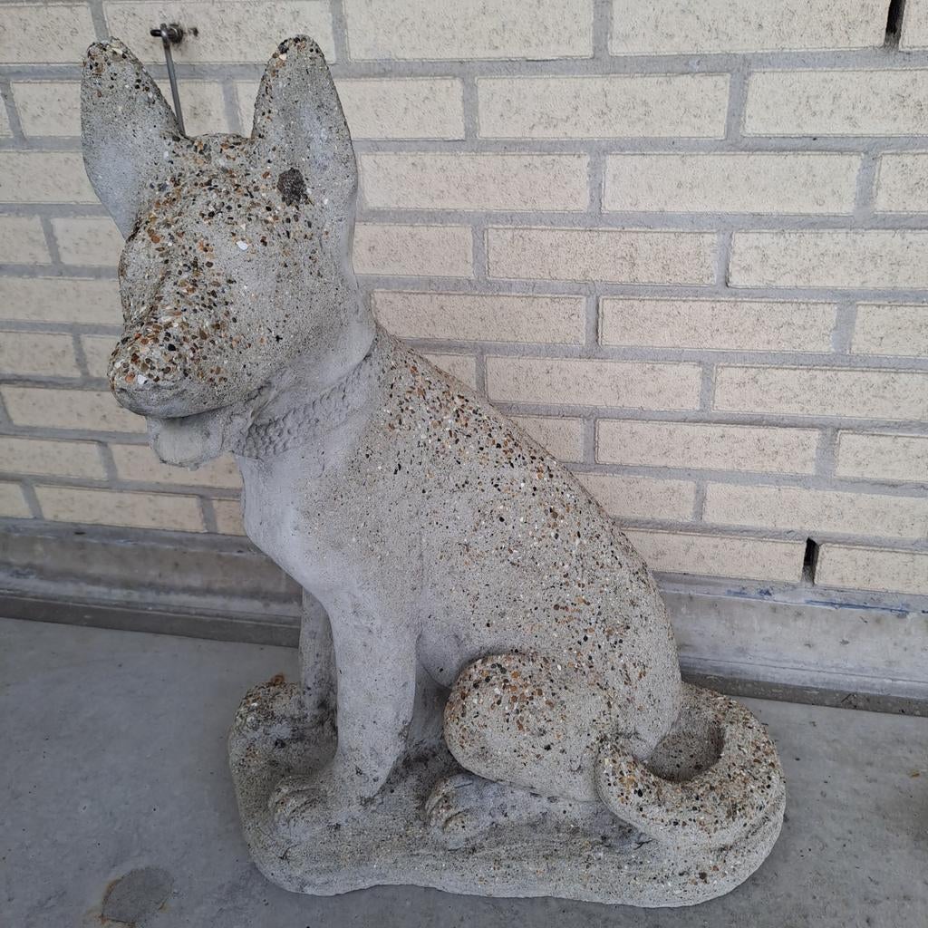 Stenen hond 65 cm, Ophalen, Gebruikt, Steen, Dierenbeeld