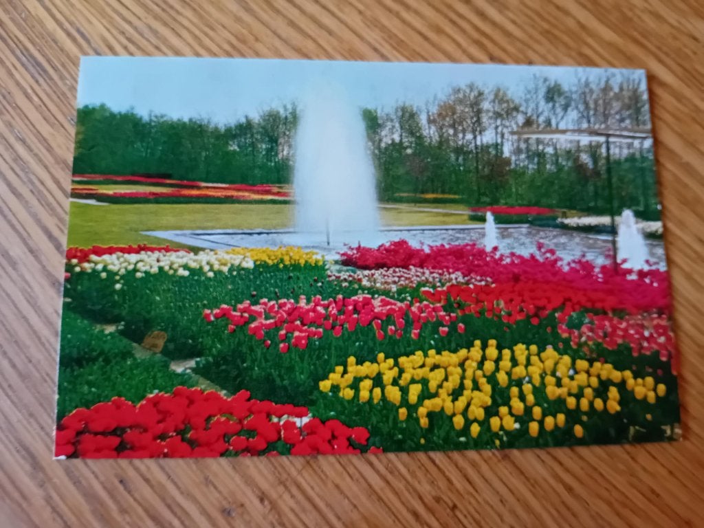 Keukenhof  Lisse-Holland kaarten, Ophalen of Verzenden, Voor 1920, Ongelopen, Zuid-Holland