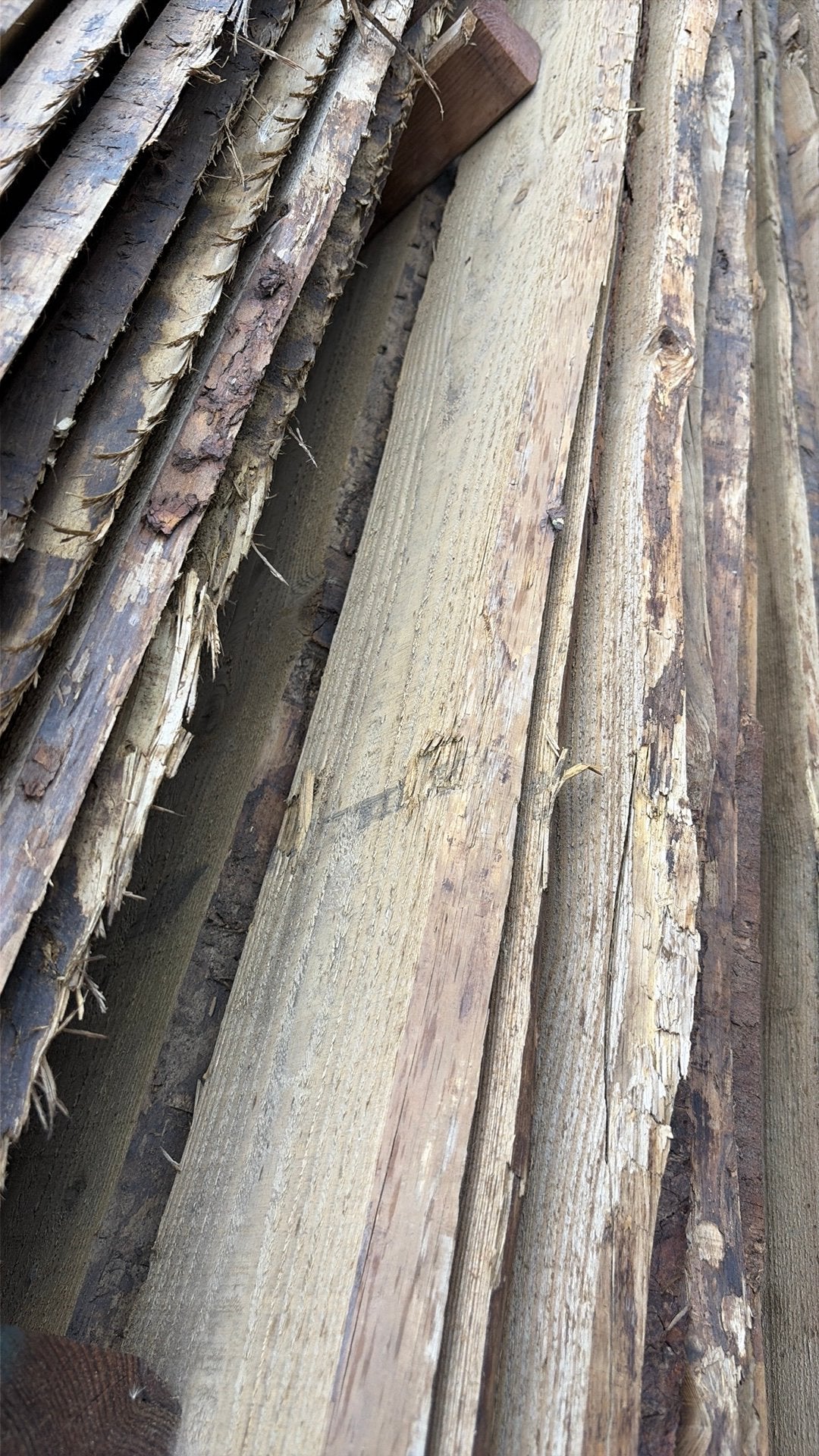 Schaaldelen, Ophalen, Nieuw, 250 cm of meer, Planken
