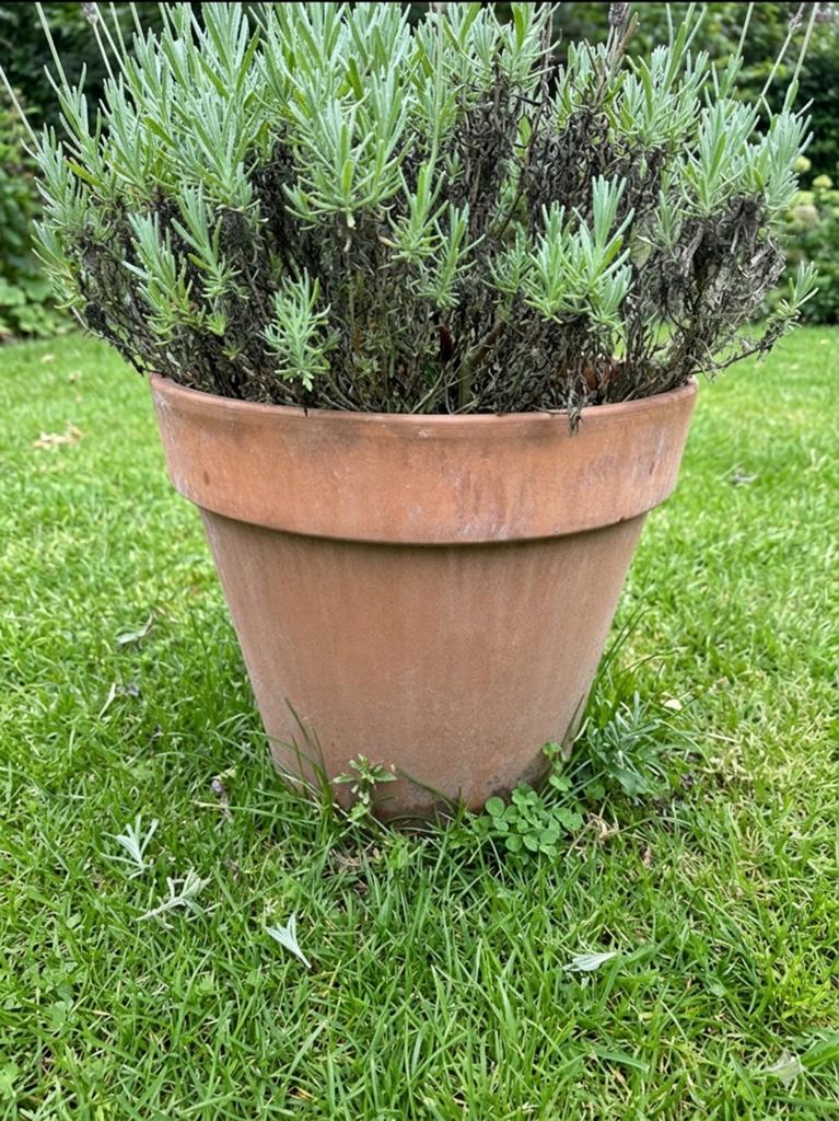 4 Grote bloempotten Intratuin - Mega Collections Terracotta, Ophalen, 40 cm of meer, Rond, Zo goed als nieuw
